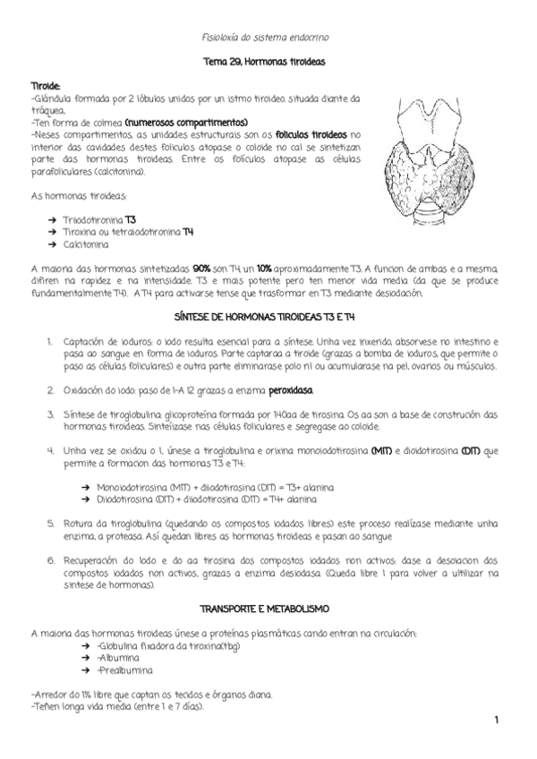 Miniatura del documento TEMA29.pdf