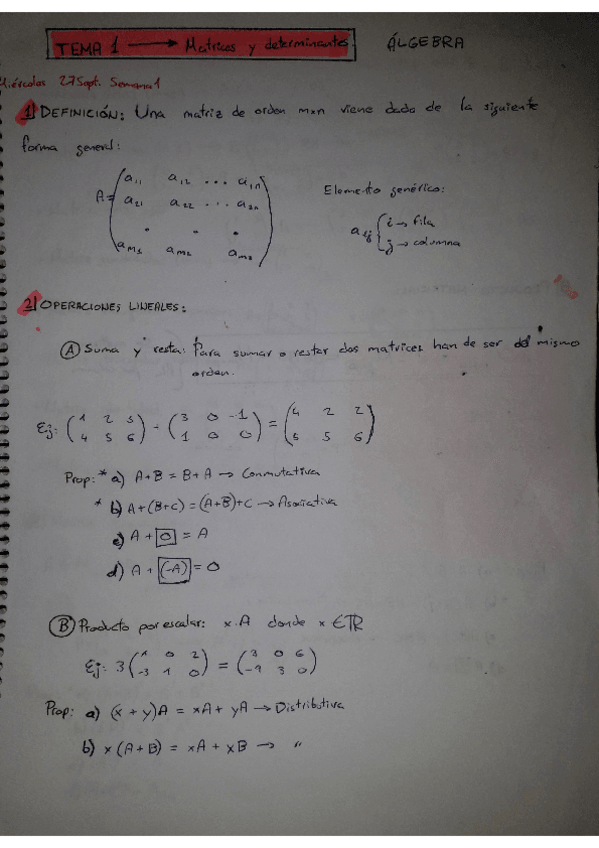 Miniatura del documento Apuntes-ALGEBRA-COMPLETOS.pdf