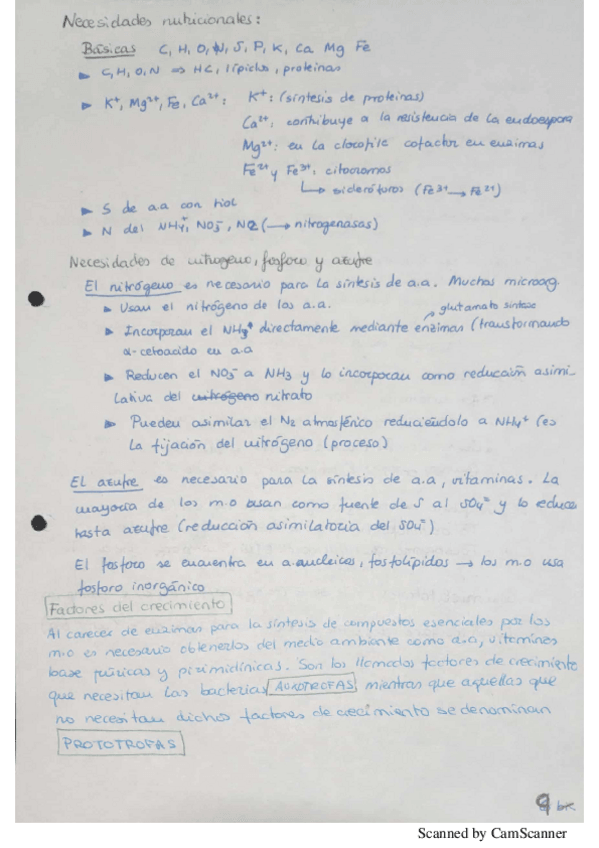 Miniatura del documento metabolismo-bacteriano.pdf