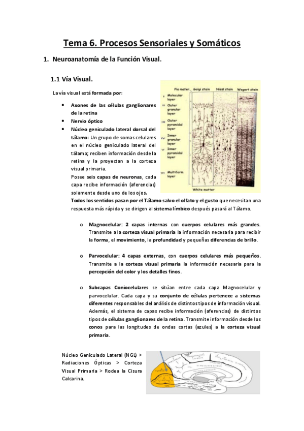 Miniatura del documento Tema-6.pdf