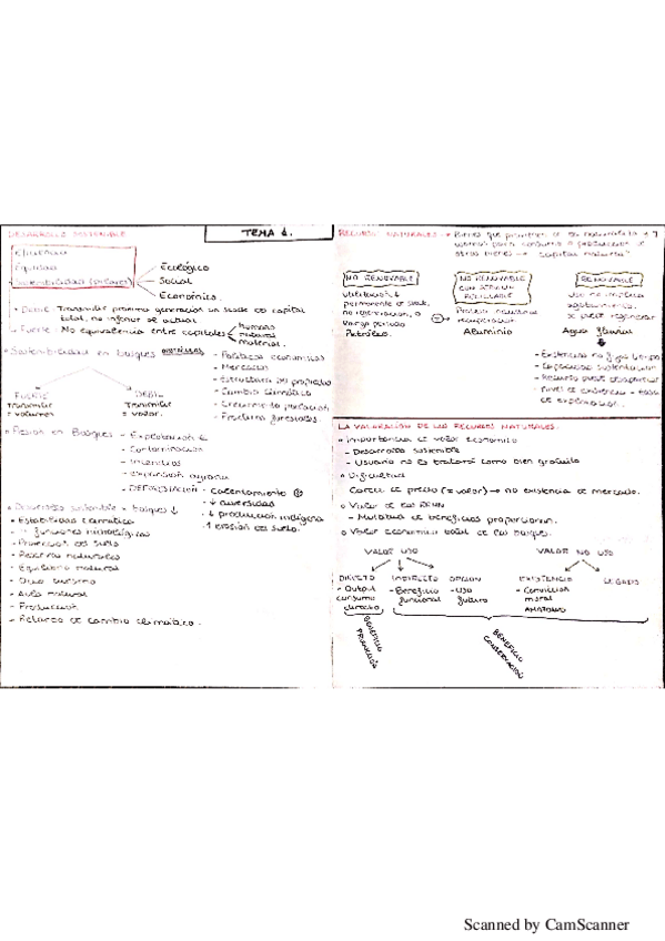Miniatura del documento Resumenes-Politica-Forestal.pdf