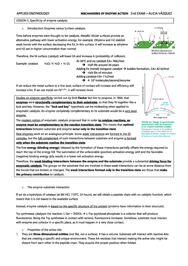Miniatura del documento ENZIMO.pdf