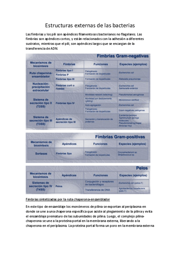 Miniatura del documento Tema-6.pdf