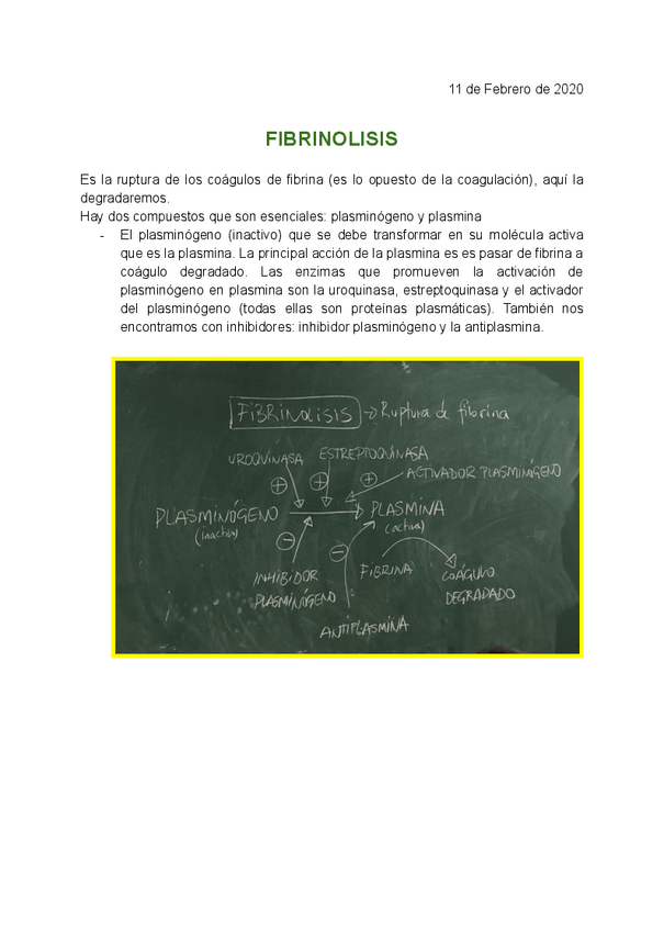Miniatura del documento FIBRINOLISIS-Documentos-de-Google.pdf