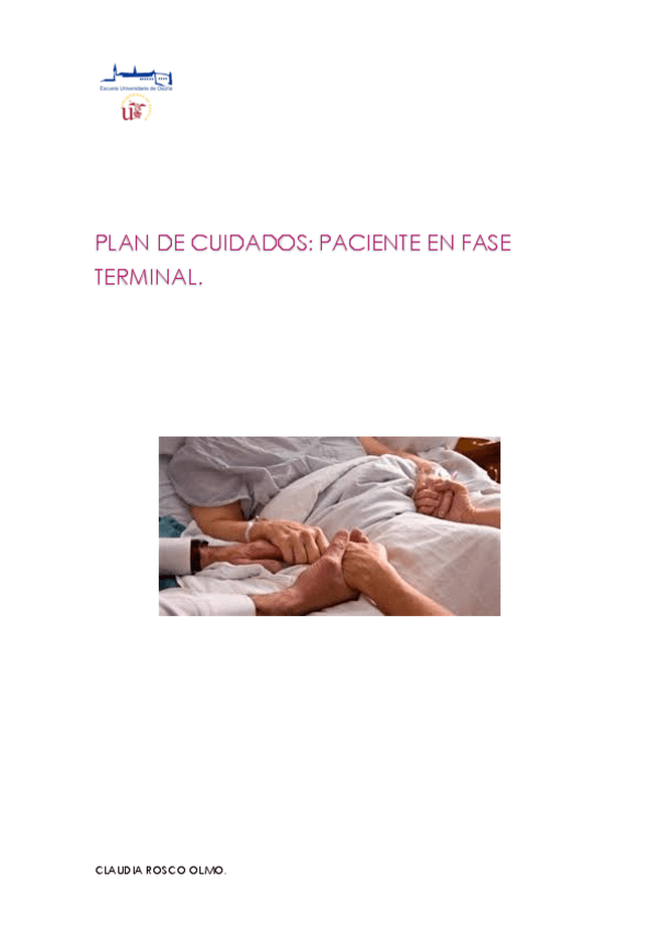 Miniatura del documento PLAN-DE-CUIDADOS.pdf