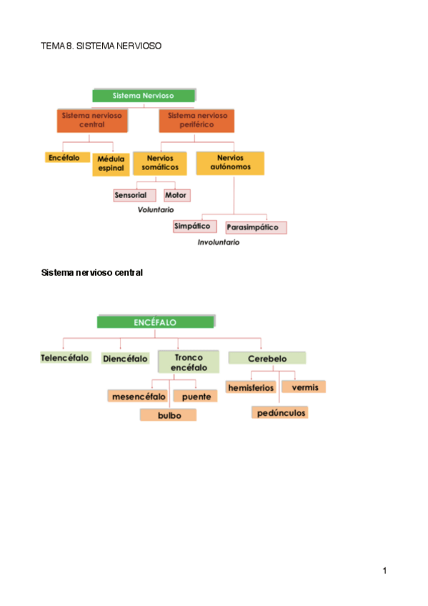 Miniatura del documento TEMA-8.pdf