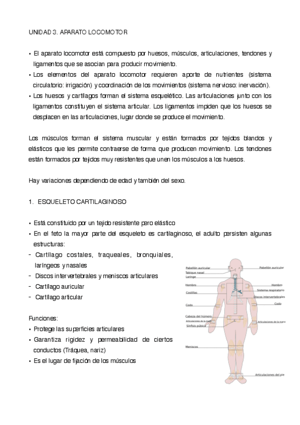Miniatura del documento UNIDAD-3.pdf