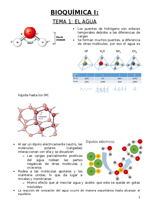 Miniatura del documento Bioquimica.docx