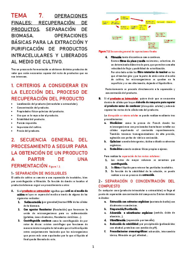 Miniatura del documento TEMA-7.pdf