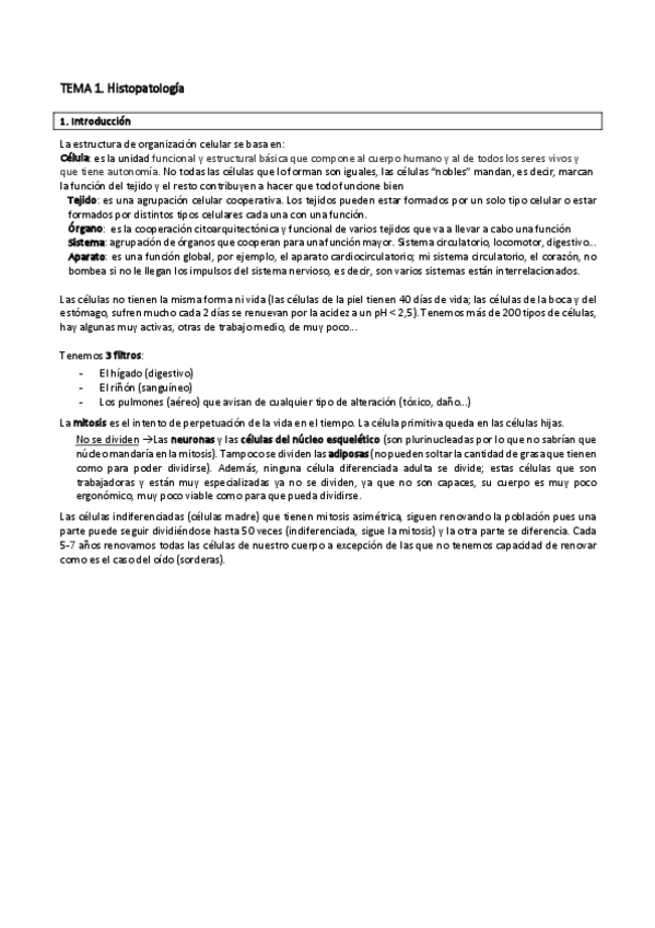 Miniatura del documento 1.pdf