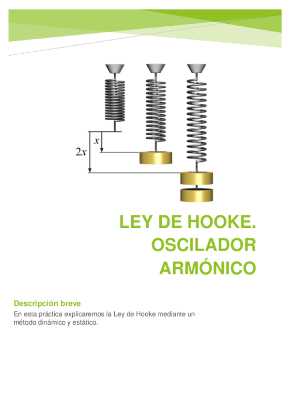 Miniatura del documento INFORME-LEY-HOOKE-para-WUOLAH.pdf