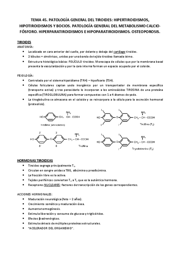 Miniatura del documento Tema 45.pdf