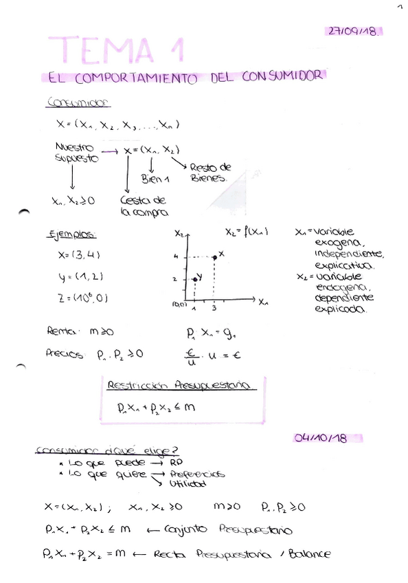 Miniatura del documento Apuntes-Tema-1.pdf