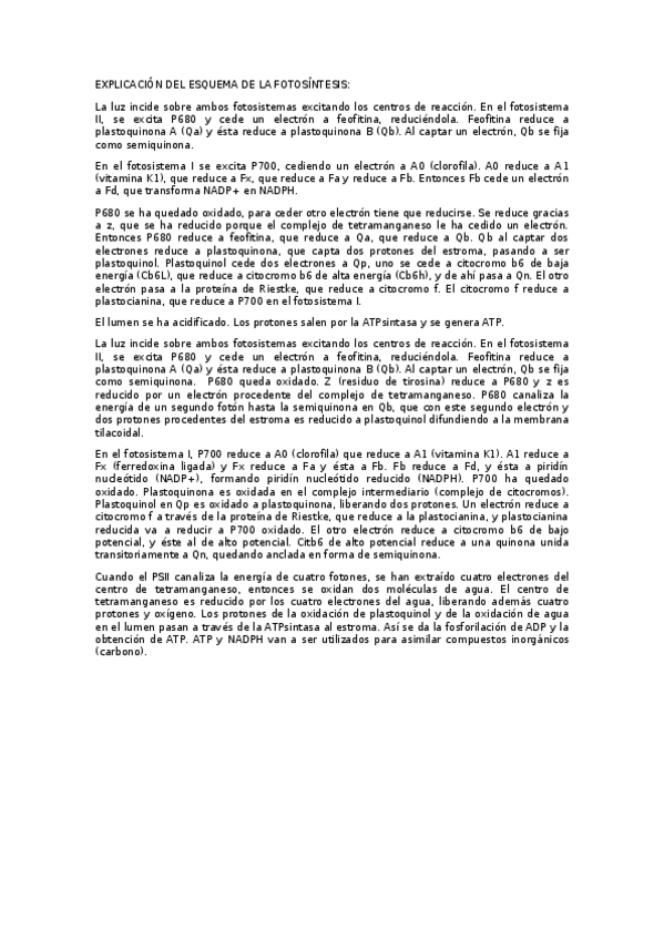 Miniatura del documento EXPLICACION-FOTOSINTESIS.docx