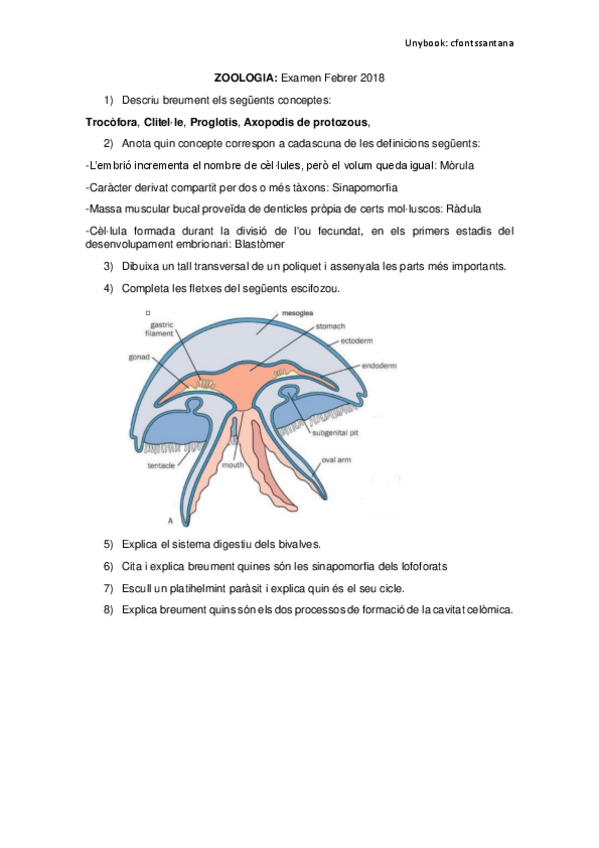 Miniatura del documento Zoologia-Examen-Feb2018.pdf