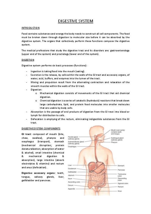 Miniatura del documento DIGESTIVE-SYSTEM.pdf