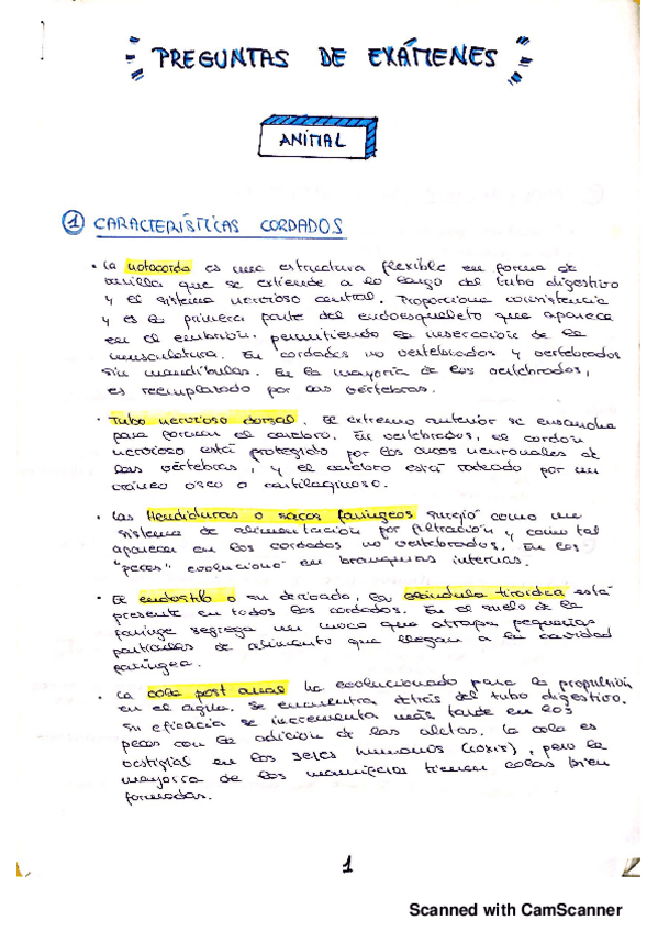 Miniatura del documento Preguntas-de-examenes-resueltas.pdf