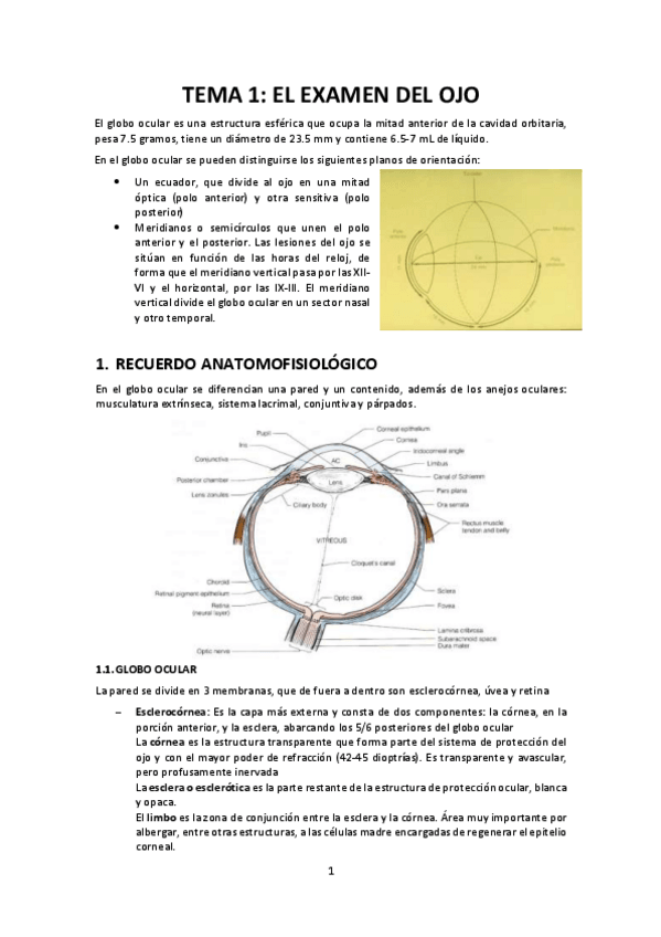 Miniatura del documento TEMA-1-EL-EXAMEN-DEL-OJO.pdf