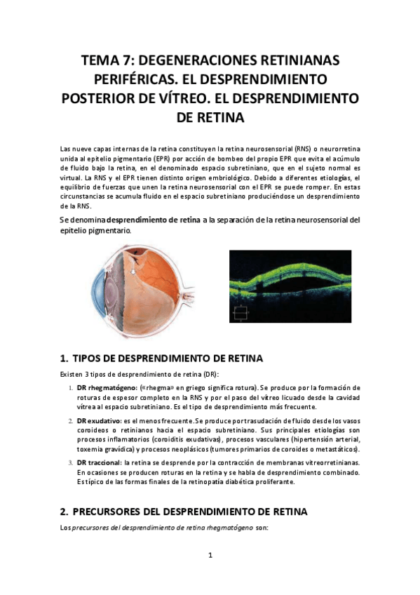 Miniatura del documento Tema-7-DEGENERACIONES-RETINIANAS-PERIFERICAS.pdf