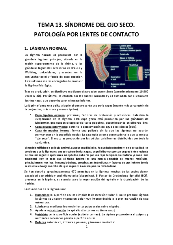 Miniatura del documento Tema-13.pdf