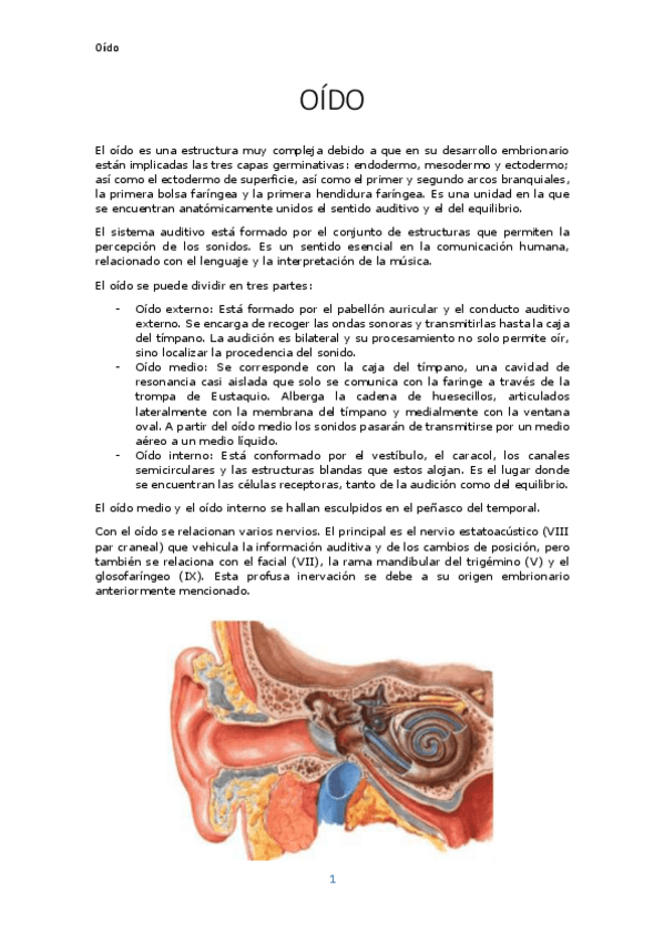Miniatura del documento OIDO.pdf