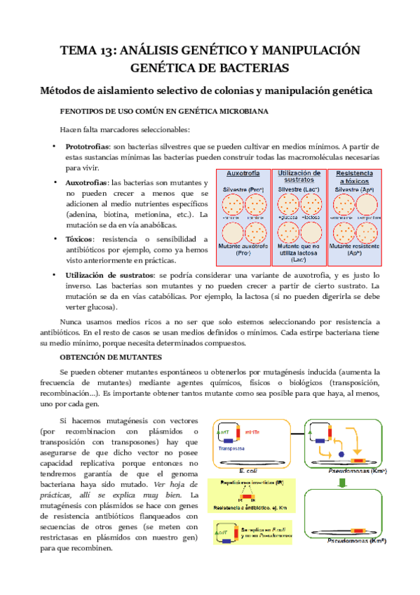Miniatura del documento TEMA-13.pdf