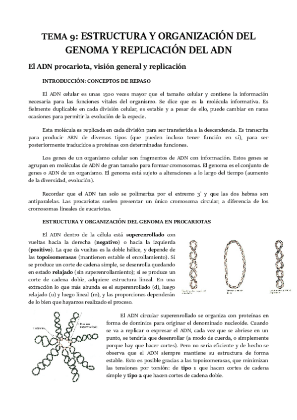 Miniatura del documento TEMA-9.pdf