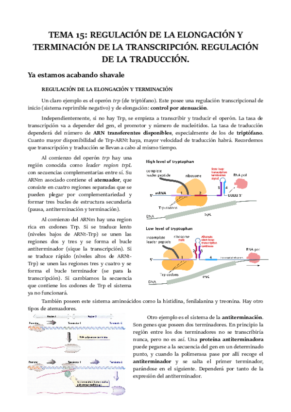 Miniatura del documento TEMA-15.pdf