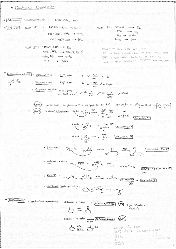 Miniatura del documento resumen.pdf