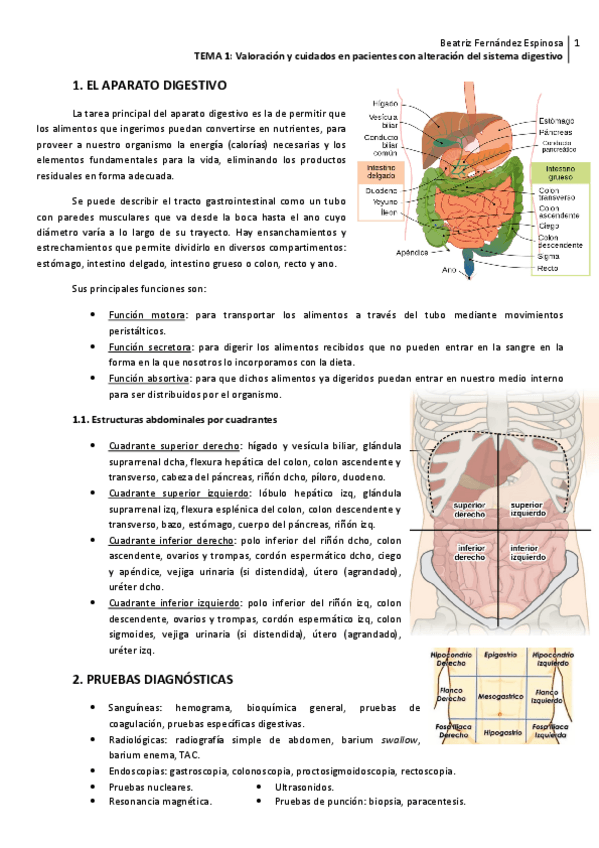 Miniatura del documento ADU2-Tema-1Digestivo.pdf