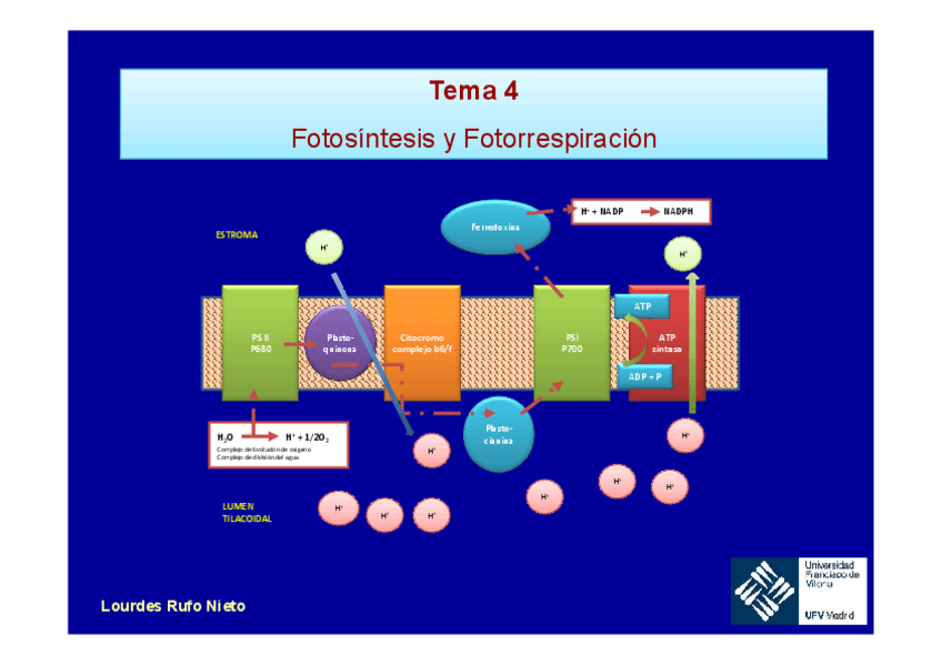 Miniatura del documento Tema-4.pdf