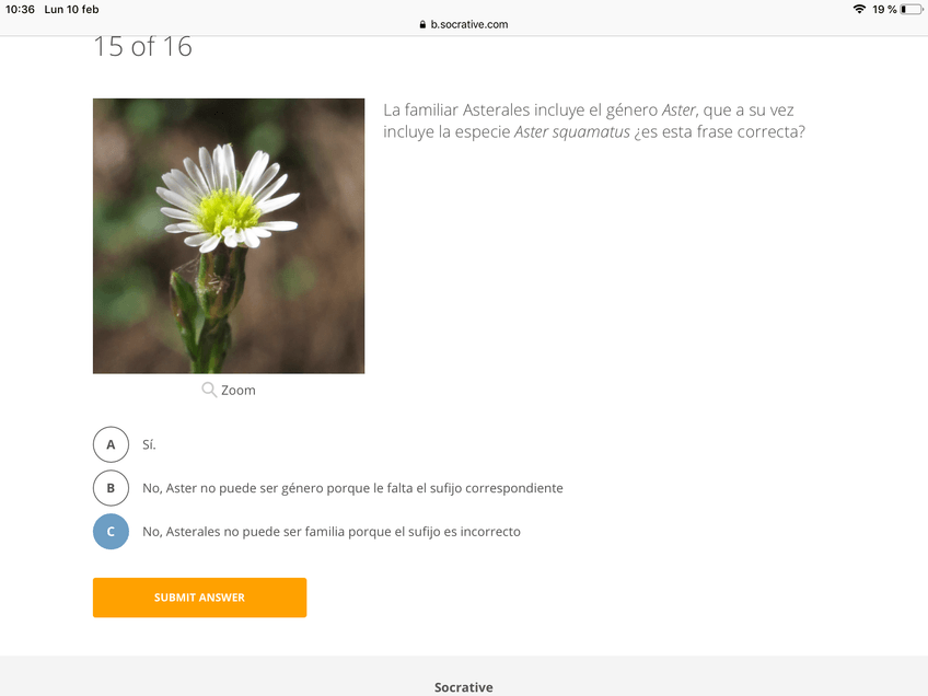 Miniatura del documento IMG3724.PNG