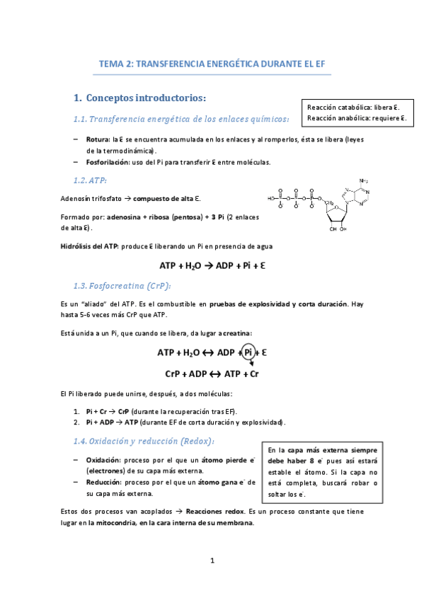 Miniatura del documento TEMA-2-TRANSFERENCIA-ENERGIA-EF.pdf