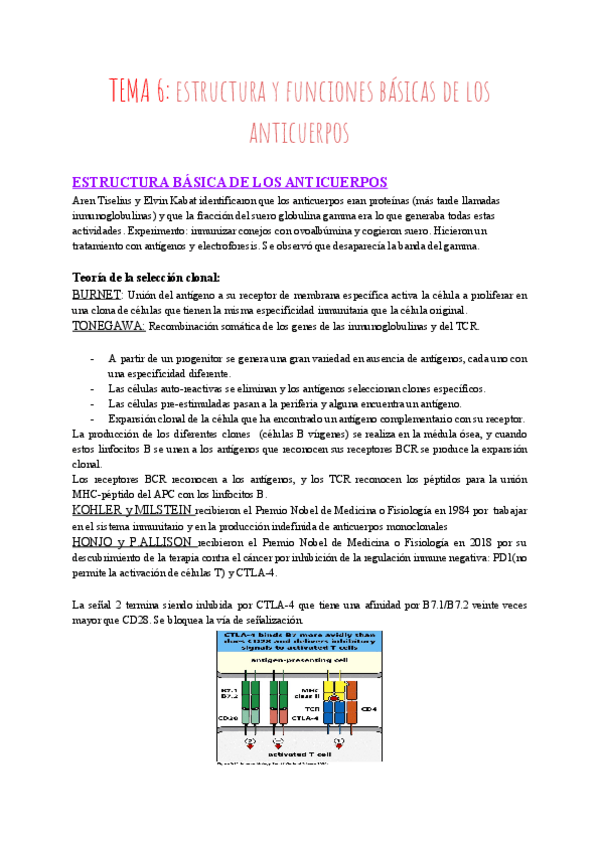 Miniatura del documento TEMA-6-estructura-y-funciones-basicas-de-los-anticuerpos.pdf