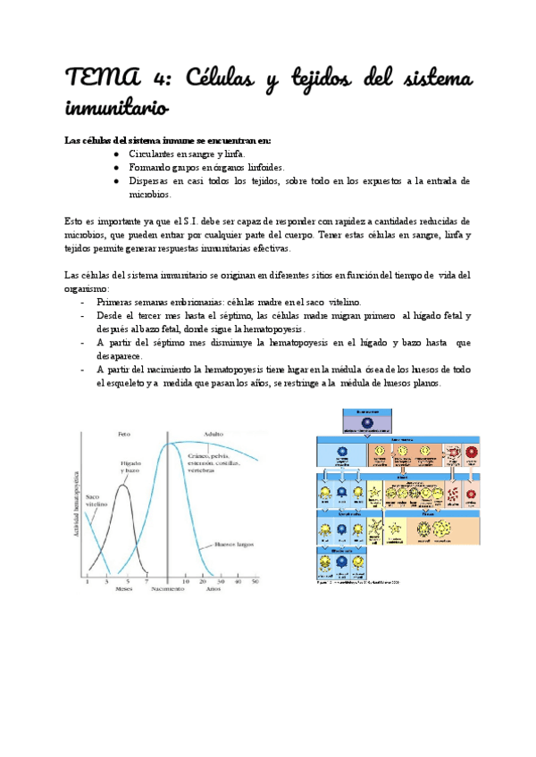 Miniatura del documento TEMA-4-Celulas-y-tejidos-del-sistema-inmunitario.pdf