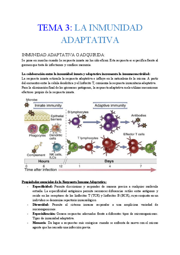 Miniatura del documento TEMA-3.pdf