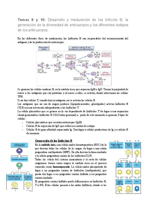 Miniatura del documento TEMA-9-y-10.pdf