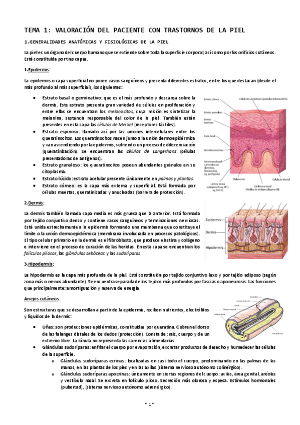 Miniatura del documento Tema-1-valoracion-del-paciente-con-trastornos-de-la-piel.pdf