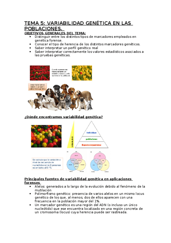 Miniatura del documento TEMA-5-.docx