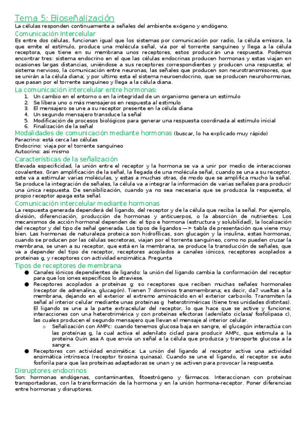 Miniatura del documento Examen-2.docx