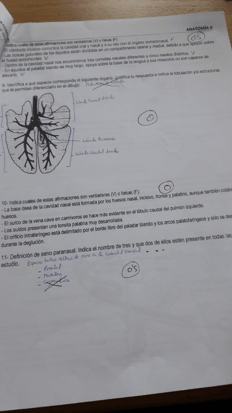 Miniatura del documento IMG-20200211-WA0009.jpg