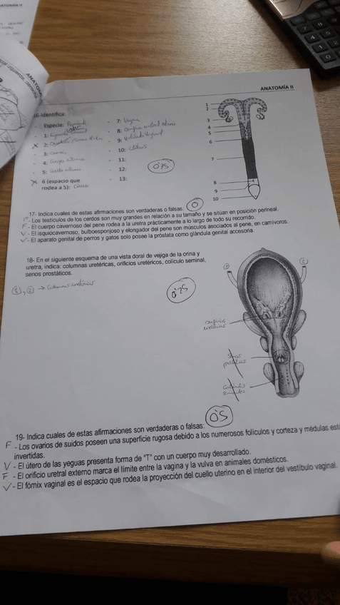 Miniatura del documento IMG-20200211-WA0010.jpg