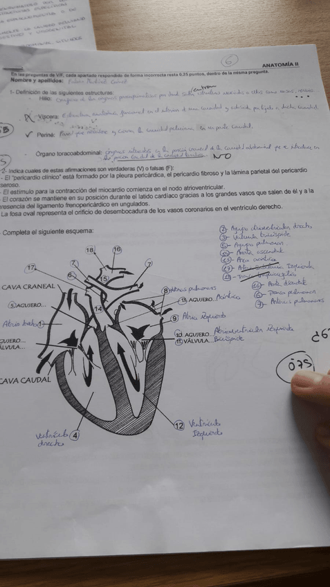 Miniatura del documento IMG-20200211-WA0012.jpg