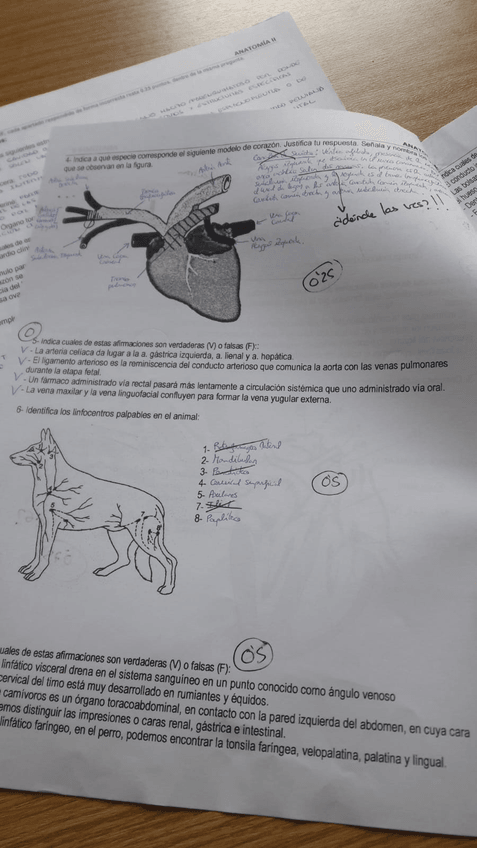 Miniatura del documento IMG-20200211-WA0011.jpg