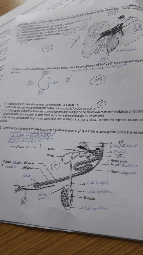 Miniatura del documento IMG-20200211-WA0008.jpg