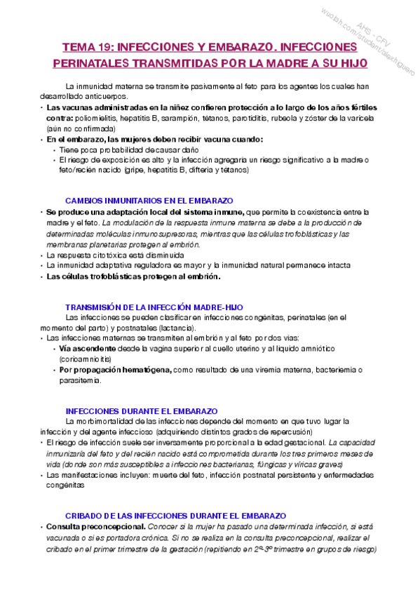 Miniatura del documento T19.pdf