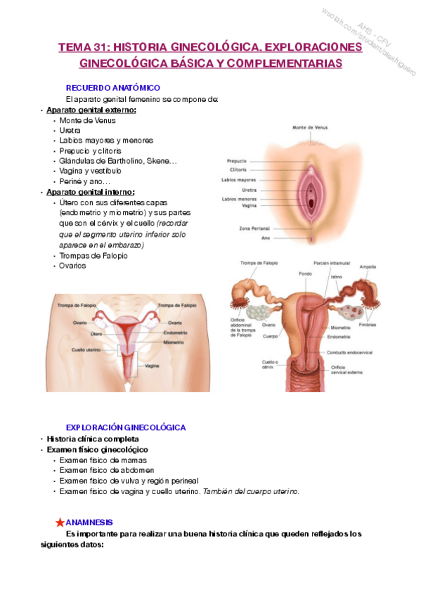 Miniatura del documento T31.pdf
