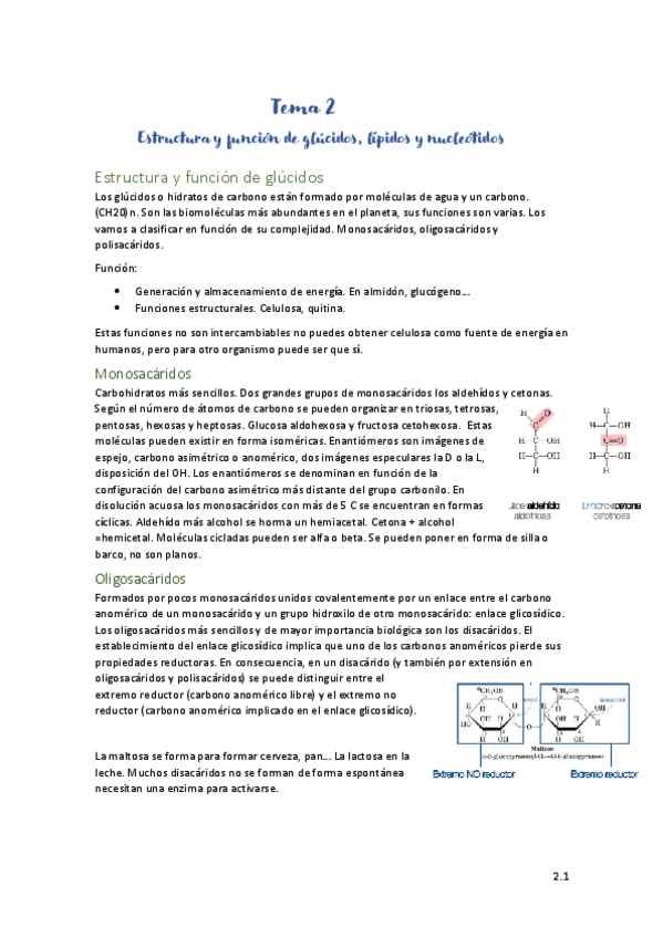 Miniatura del documento Bioquimica-Tema-2.pdf