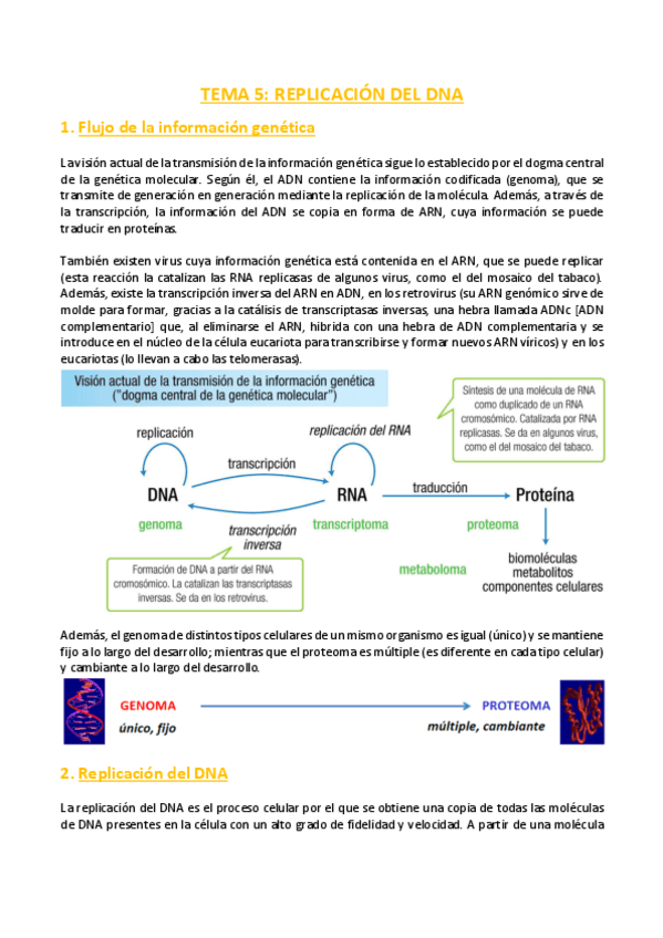 Miniatura del documento TEMA-5-Bioquimica.pdf