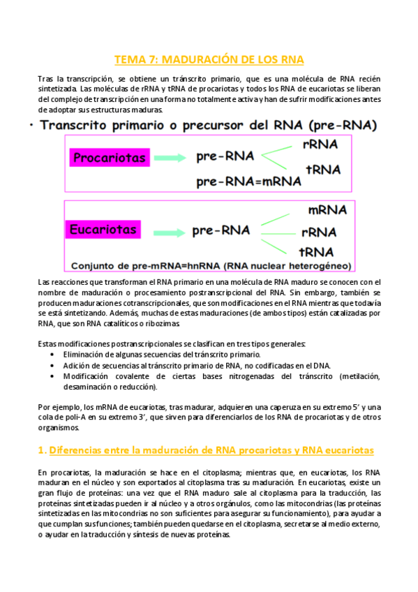 Miniatura del documento TEMA-7-Bioquimica.pdf